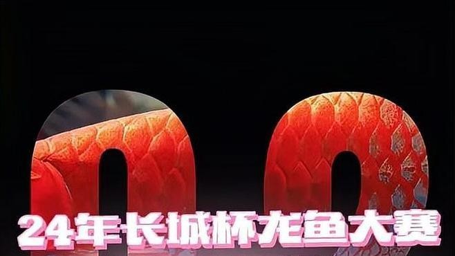 長城杯龍魚比賽門票價格一覽表