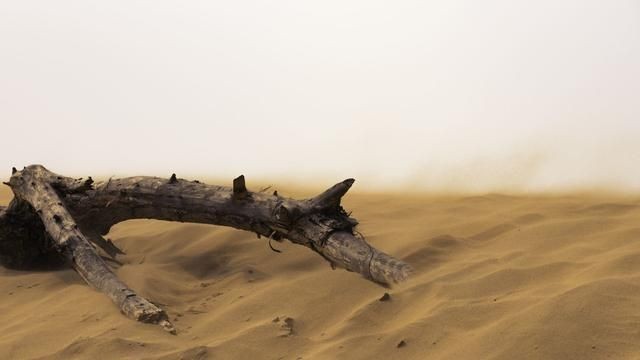 魚缸造景對密度影響：關于魚缸造景對密度的影響
