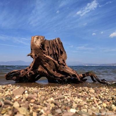 魚缸造景對密度影響：關于魚缸造景對密度的影響