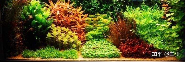 魚缸造景對密度影響：關于魚缸造景對密度的影響