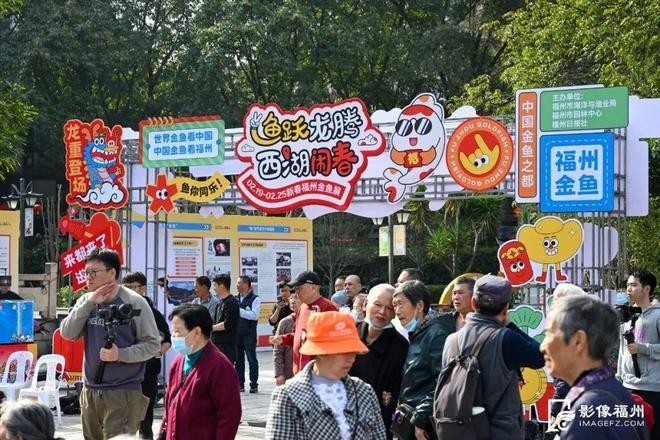 如何參加福州金魚新春展覽？