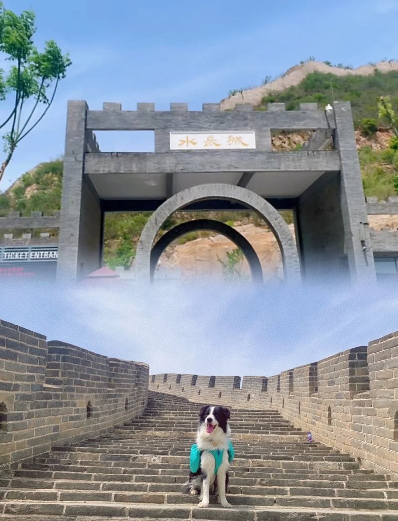 如何給寵物安全地?cái)y帶到水長(zhǎng)城？