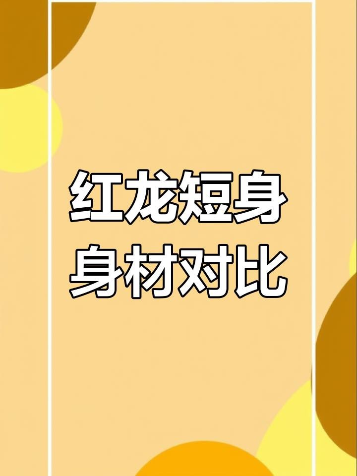 短身紅龍的市場價格是多少？