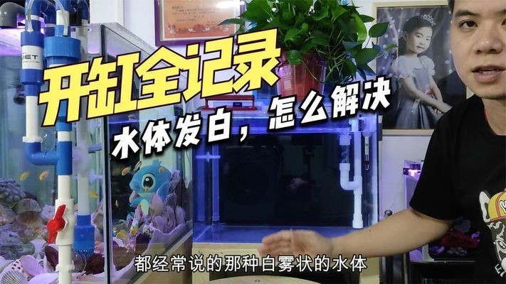 銀龍價(jià)格:銀龍魚(yú)什么價(jià)格30 銀龍價(jià)格:銀龍魚(yú)什么價(jià)格30 銀龍魚(yú)百科