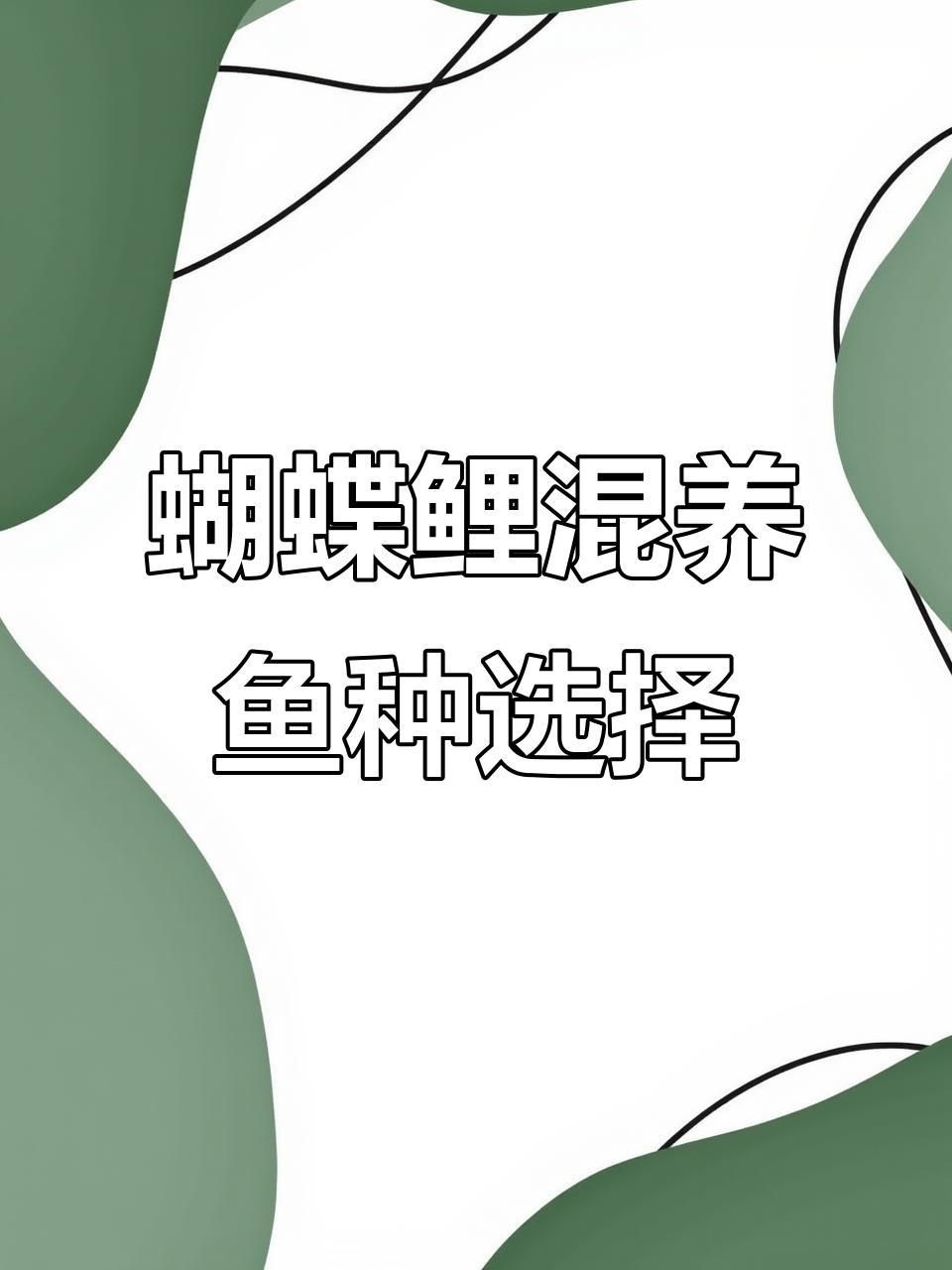 蝴蝶鯉與什么魚混養好看