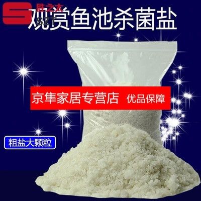 給魚缸消毒的方法和注意事項，魚缸消毒的方法和注意事項：關于給魚缸消毒的一些方法和注意事項