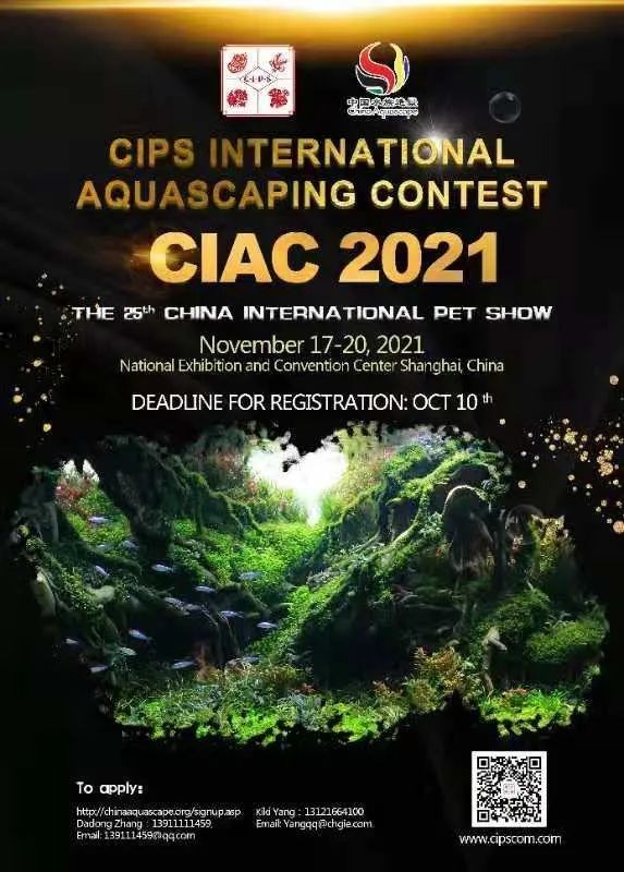 長城杯有哪些歷屆冠軍?