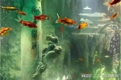 翡翠放在魚缸里好嗎（翡翠養(yǎng)護(hù)的正確方式）