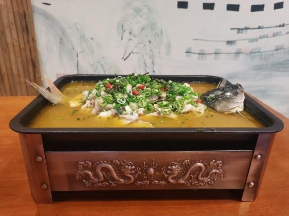 蝴蝶鯉是吉還是兇