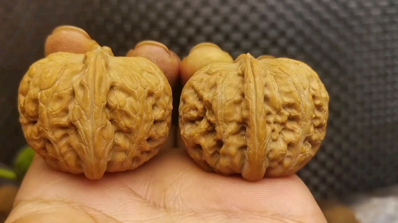 43元寶獅子頭