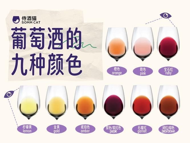 如何辨別沙城長城龍喜金龍干紅的真偽？