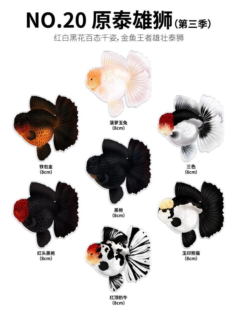 2025金魚(yú)大賽的獲獎(jiǎng)名單