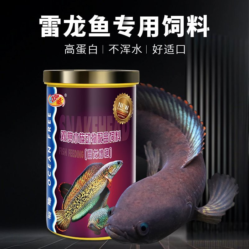 速倍妥和仟湖哪個喂雷龍魚好
