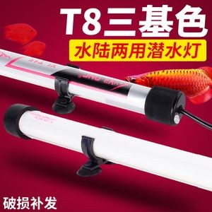 龍魚頂燈用865還是840（龍魚頂燈使用840伏或840伏電源的適用性） 龍魚頂燈用865還是840（龍魚頂燈使用840伏或840伏電源的適用性） 龍魚百科 第5張