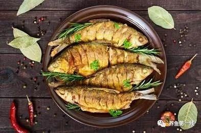 鯽魚圖片
