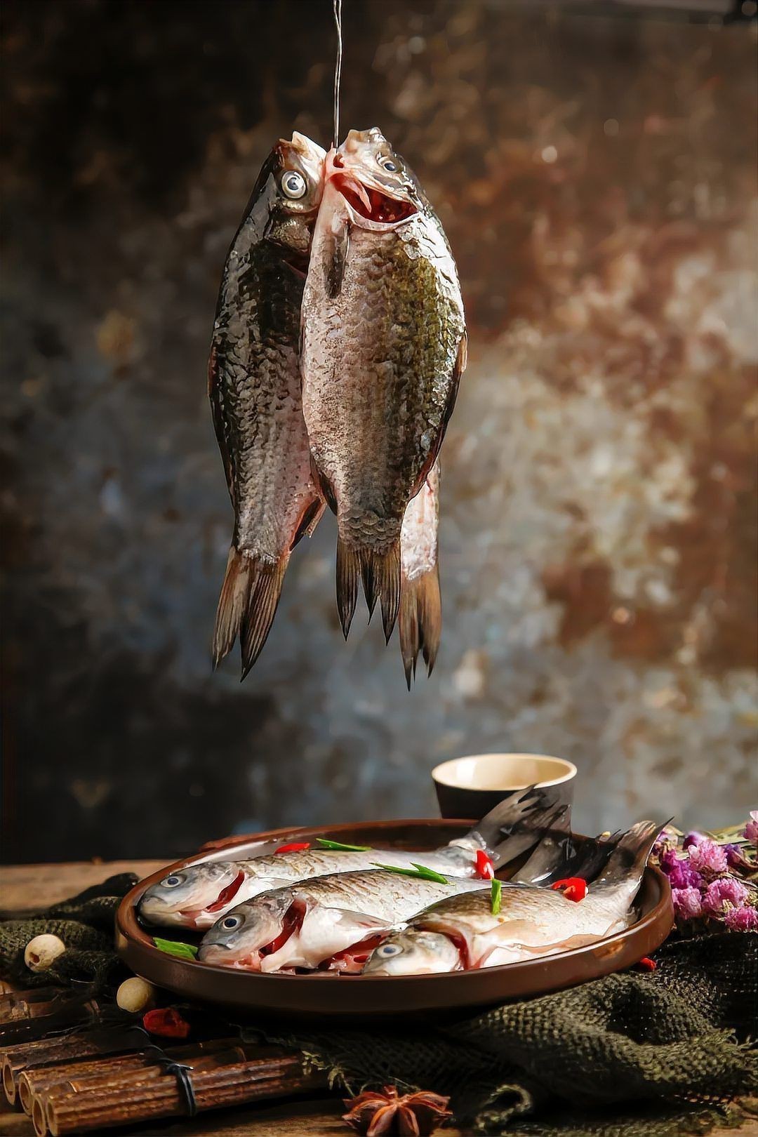 鯽魚圖片