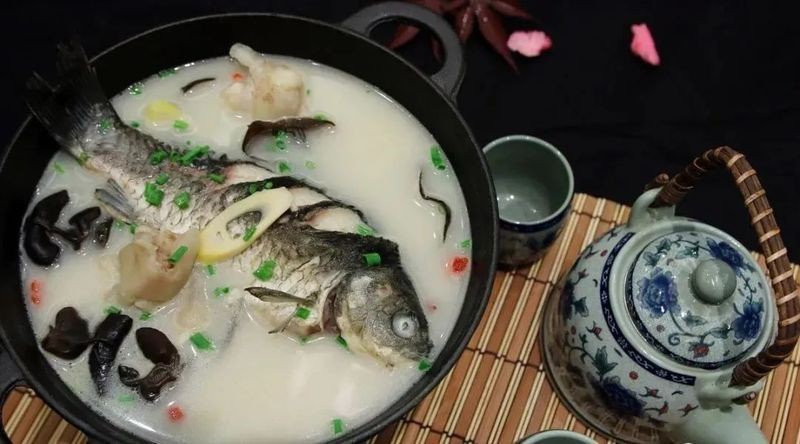 鯽魚圖片