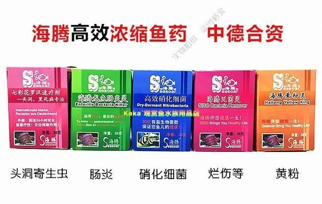 龍魚的喂食量：養龍魚的注意事項