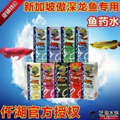龍魚的喂食量：養龍魚的注意事項