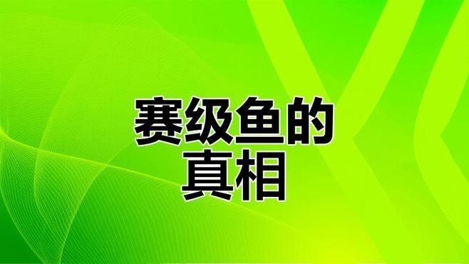 如何辨別真假賽級孔雀魚？
