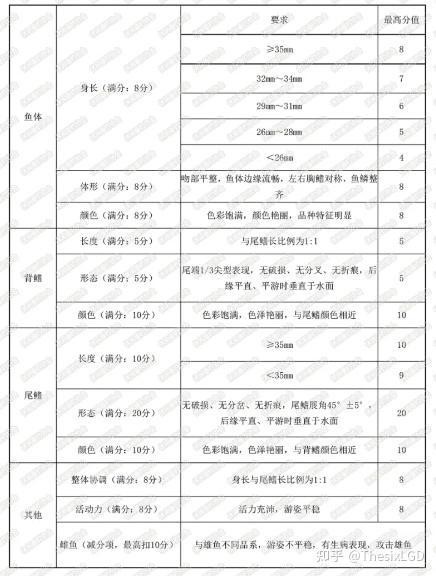 如何辨別真假賽級孔雀魚？