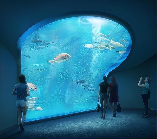 四國水族館在哪個城市