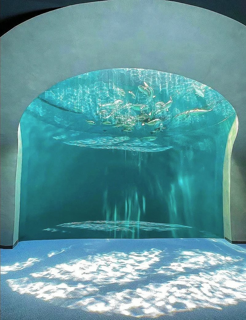 四國水族館在哪個城市