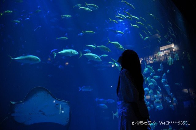 四國水族館在哪個城市