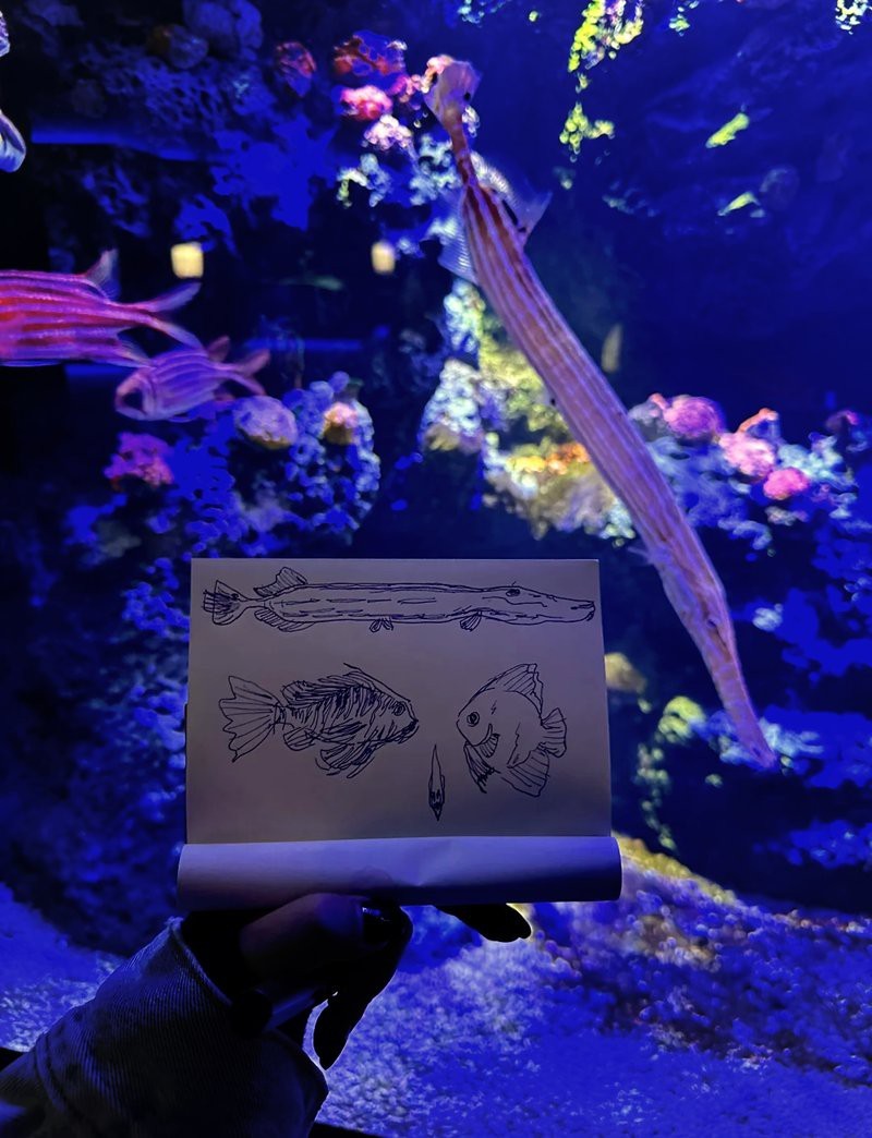 四國水族館在哪個城市