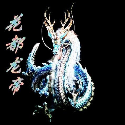 帝龍圖片 帝龍圖片 龍魚論壇 第17張