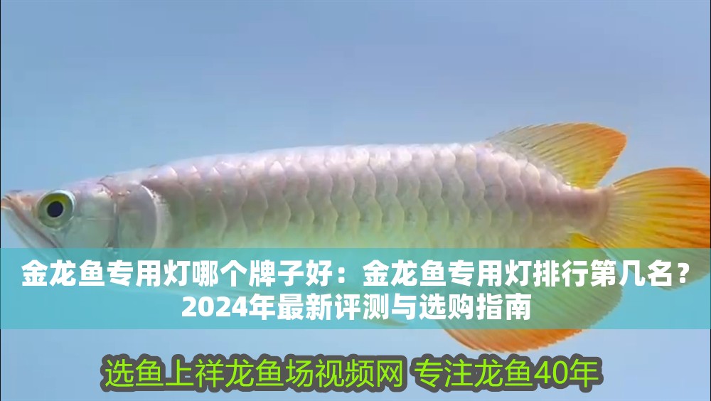 金龍魚專用燈哪個牌子好：金龍魚專用燈排行第幾名？2024年最新評測與選購指南