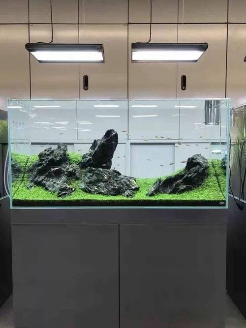給我一些世界草缸造景大賽獲獎(jiǎng)作品的圖片