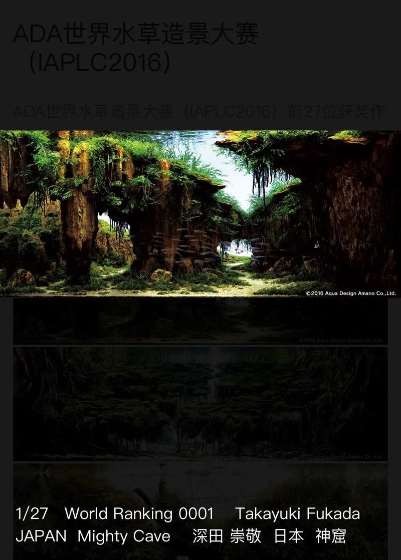 給我一些世界草缸造景大賽獲獎(jiǎng)作品的圖片