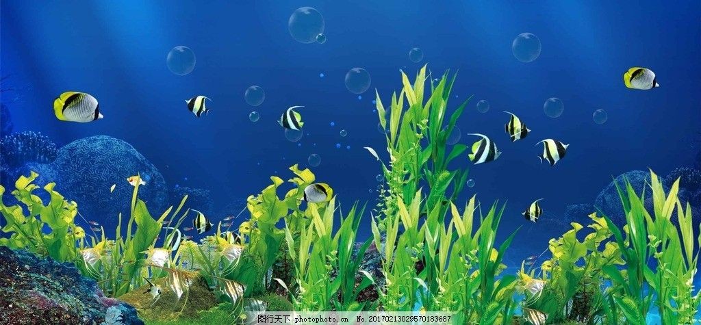 風景水族魚缸設計（水族魚缸造景水族魚缸設計搜索結果搜索結果獲取不可忽視的影響）