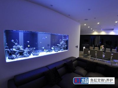 魚缸定制費用受多種因素影響，魚缸定制費用受多種影響：定制一個魚缸的價格范圍和實例