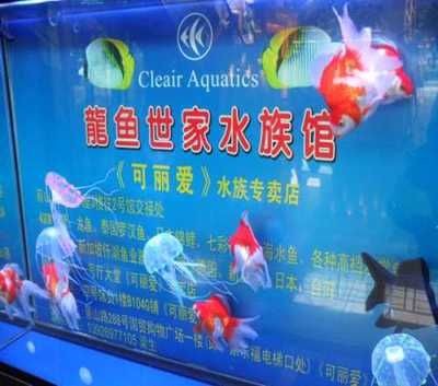 龍魚世家網站（龍魚世家官方網站提供了豐富的水族產品和服務和服務）