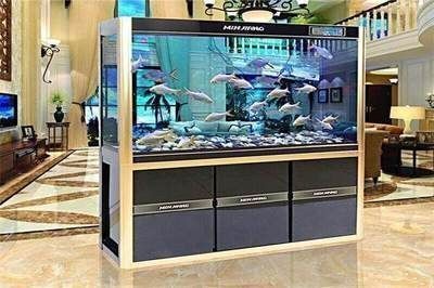 客廳魚缸什么樣的好：客廳魚缸擺放位置、尺寸及材質選擇是影響家居風水和美觀的重要因素