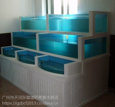 廣州魚缸搬運(yùn)公司哪家好：如何選擇廣州魚缸搬運(yùn)公司