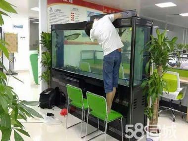 廣州魚缸搬運(yùn)公司哪家好：如何選擇廣州魚缸搬運(yùn)公司