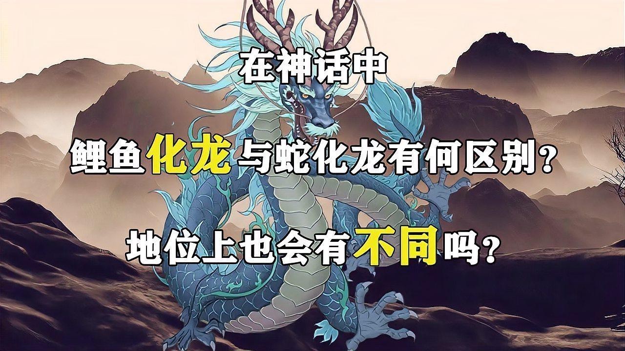 魚化龍與蛇化龍有何區(qū)別？