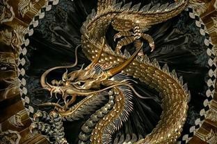 魚化龍與蛇化龍有何區(qū)別？