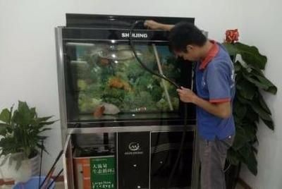 魚缸拆裝費用多少錢：廣州地區魚缸拆裝服務價格清單魚缸拆裝費用因素而異
