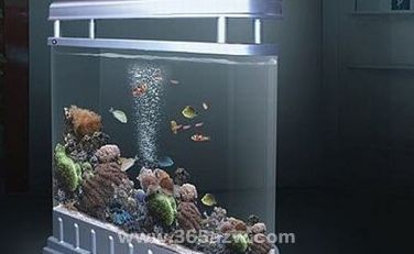 魚缸擺在什么位置風水最好（如何判斷住宅的兇方位置）