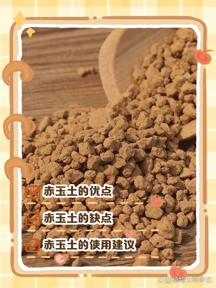 風化土和赤玉土哪個好