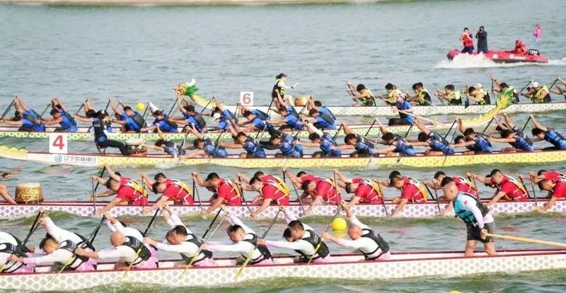 如何判斷龍魚是否已經和解，如何判斷龍魚是否健康