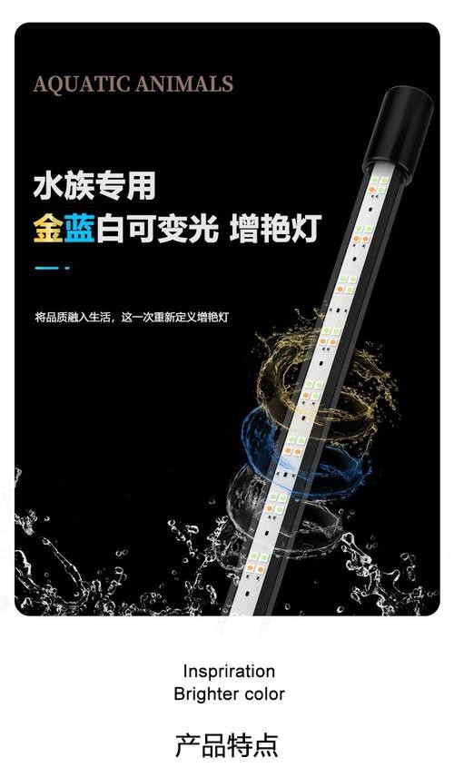 藍(lán)底龍魚(yú)用什么顏色的燈好看圖片大全