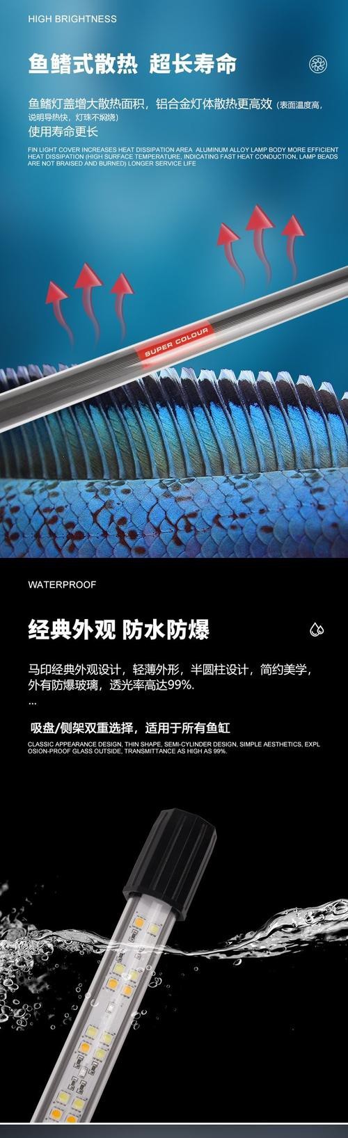 藍(lán)底龍魚(yú)用什么顏色的燈好看圖片大全