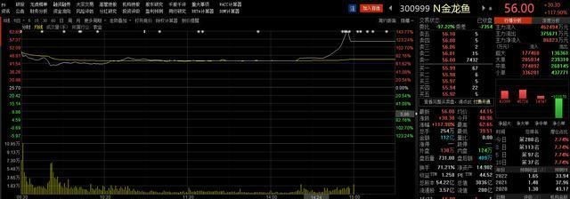 金龍魚營業收入多少億（金龍魚2023年及2024年上半年營業收入情況）