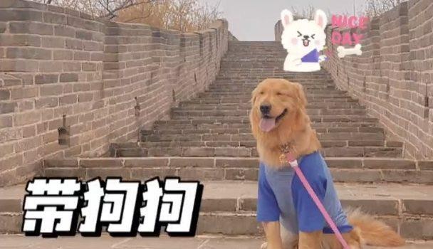 水長城景區有哪些寵物友好服務？