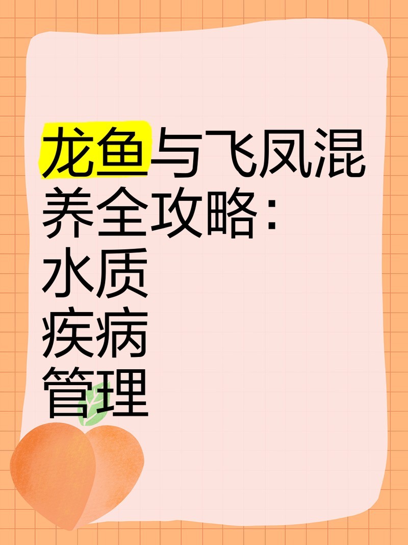 飛鳳魚和紅龍混養需要注意什么? 2025長城杯龍魚大賽 第1張 飛鳳魚和紅龍混養需要注意什么? 飛鳳魚和紅龍混養需要注意什么? 2025長城杯龍魚大賽 第1張